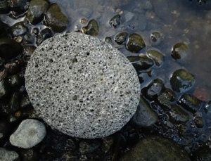 Batu apung ( pumice )