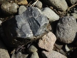 Batu Obsidian ( Obsidianus Sempena Obsidius )