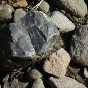 Batu Obsidian ( Obsidianus Sempena Obsidius )